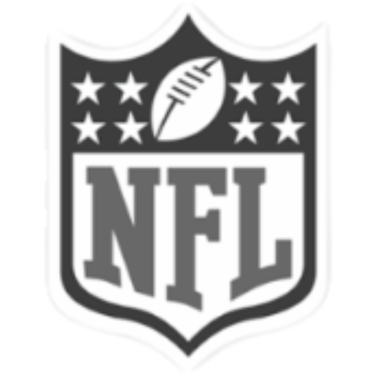 NFL logo